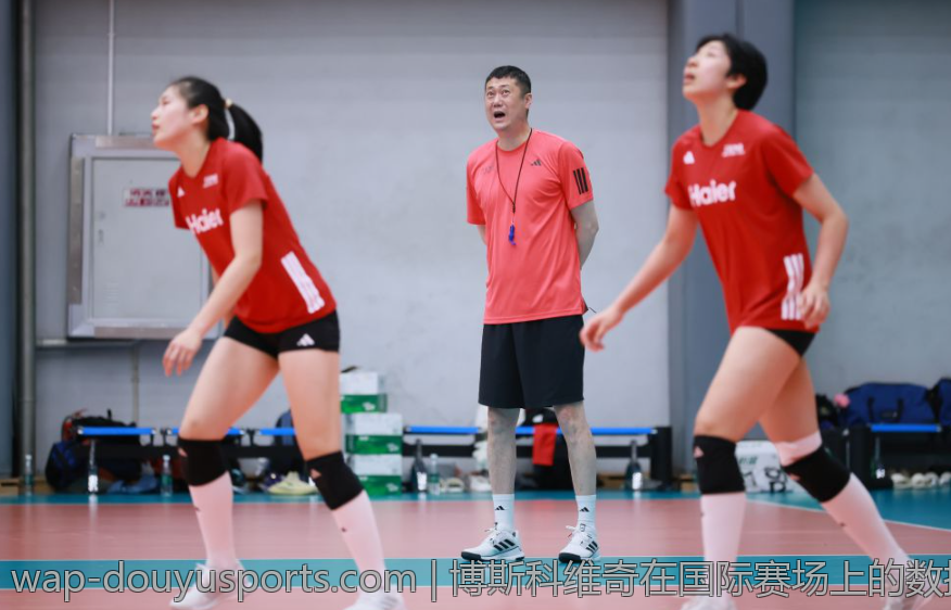 博斯科维奇在国际赛场上的数据表现回顾